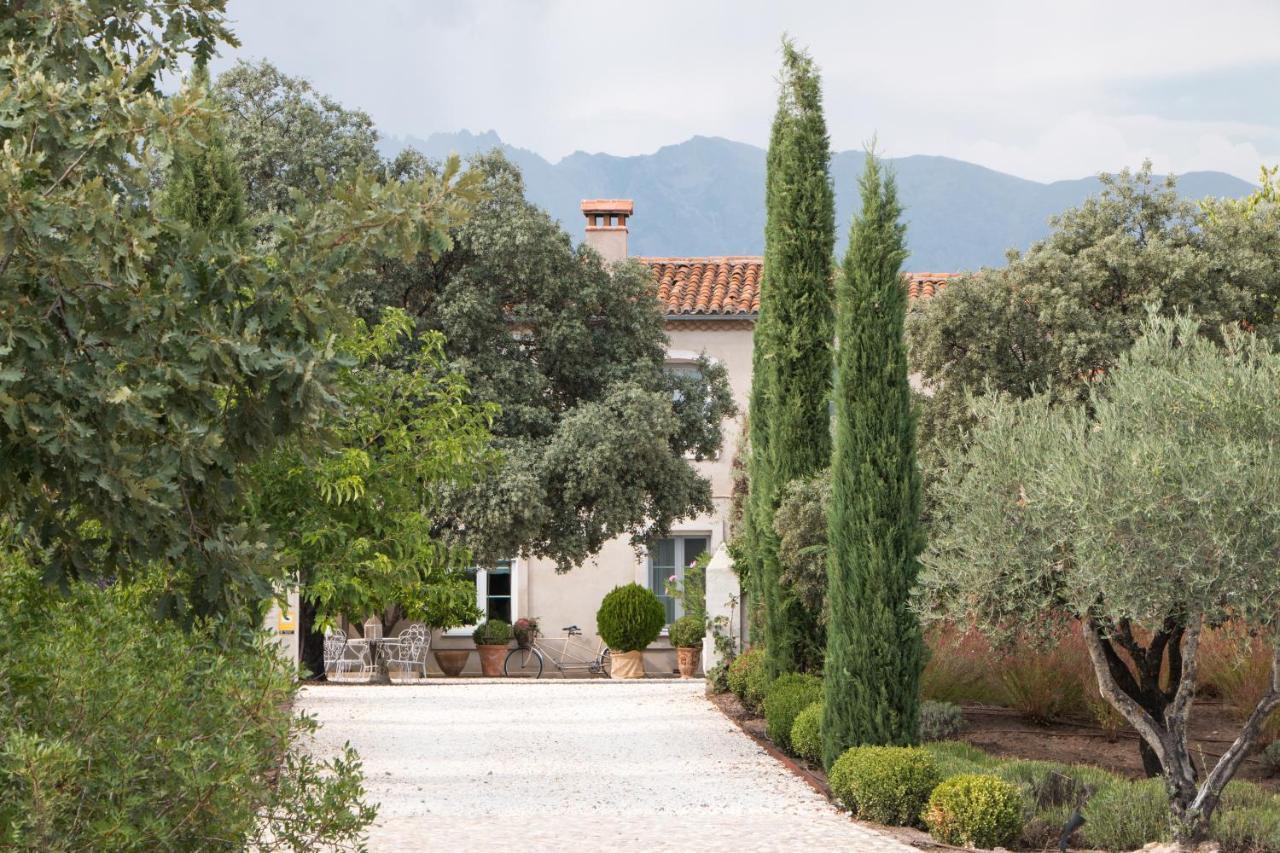 La Casa De Los Tomillares Candeleda Exteriör bild